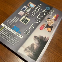 画像411