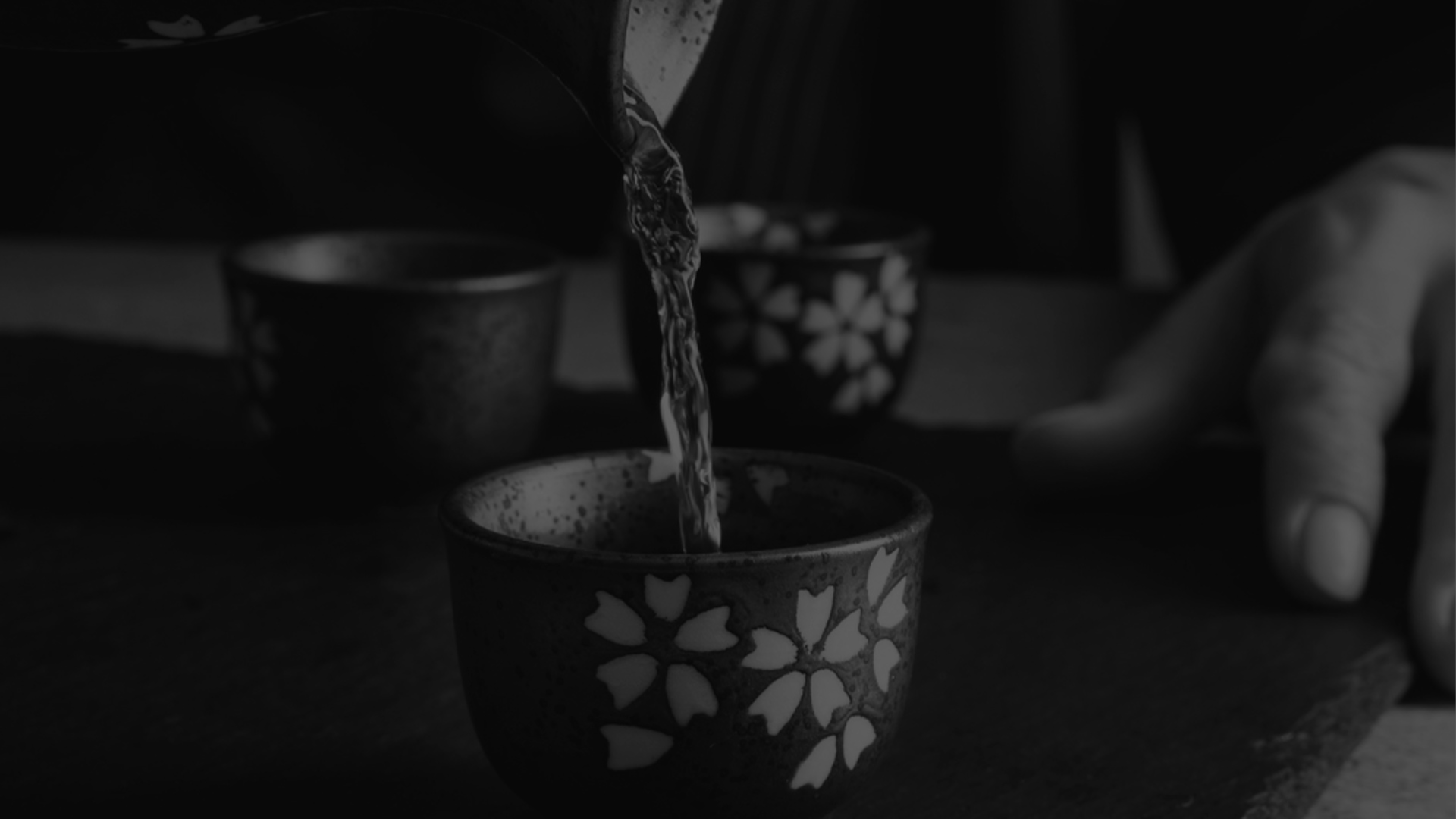 新着情報
