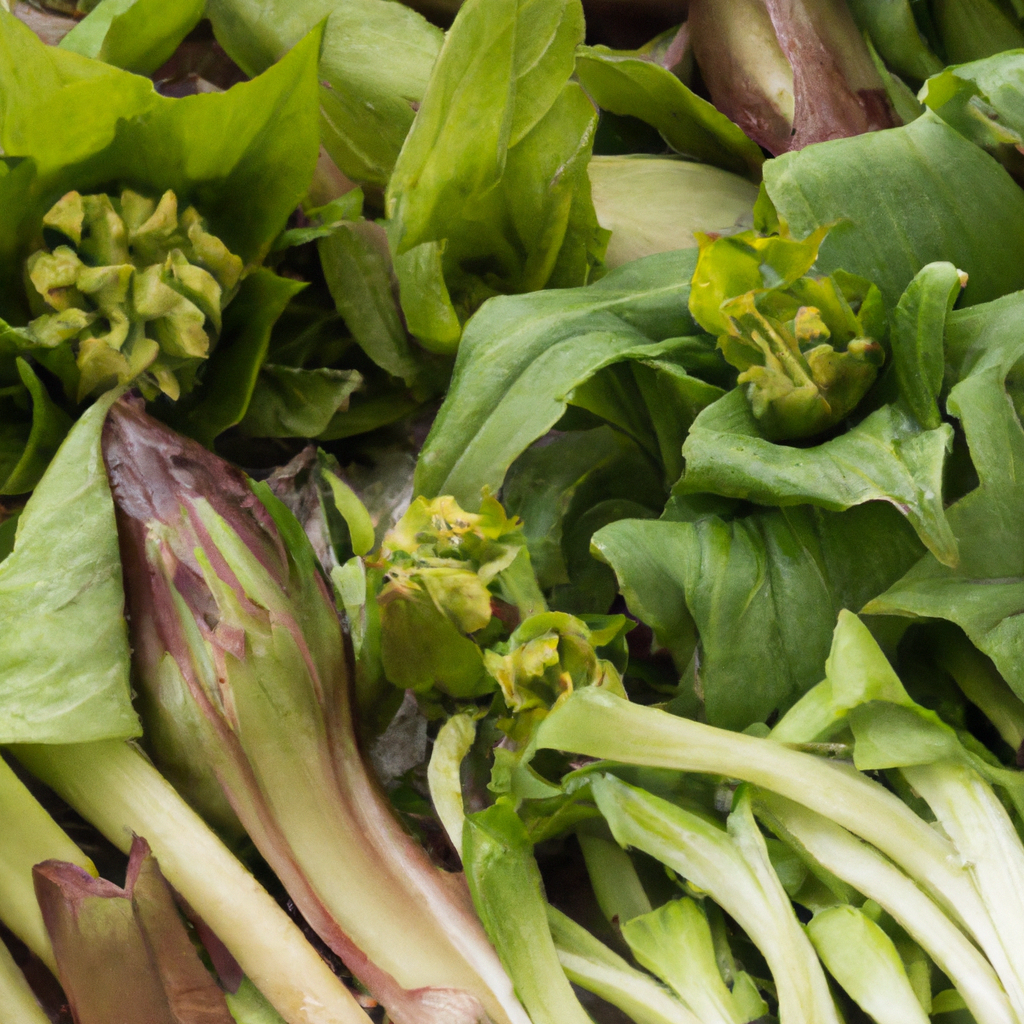 旬の無農薬野菜をふんだんに使った春の土鍋料理で特別な夜を演出