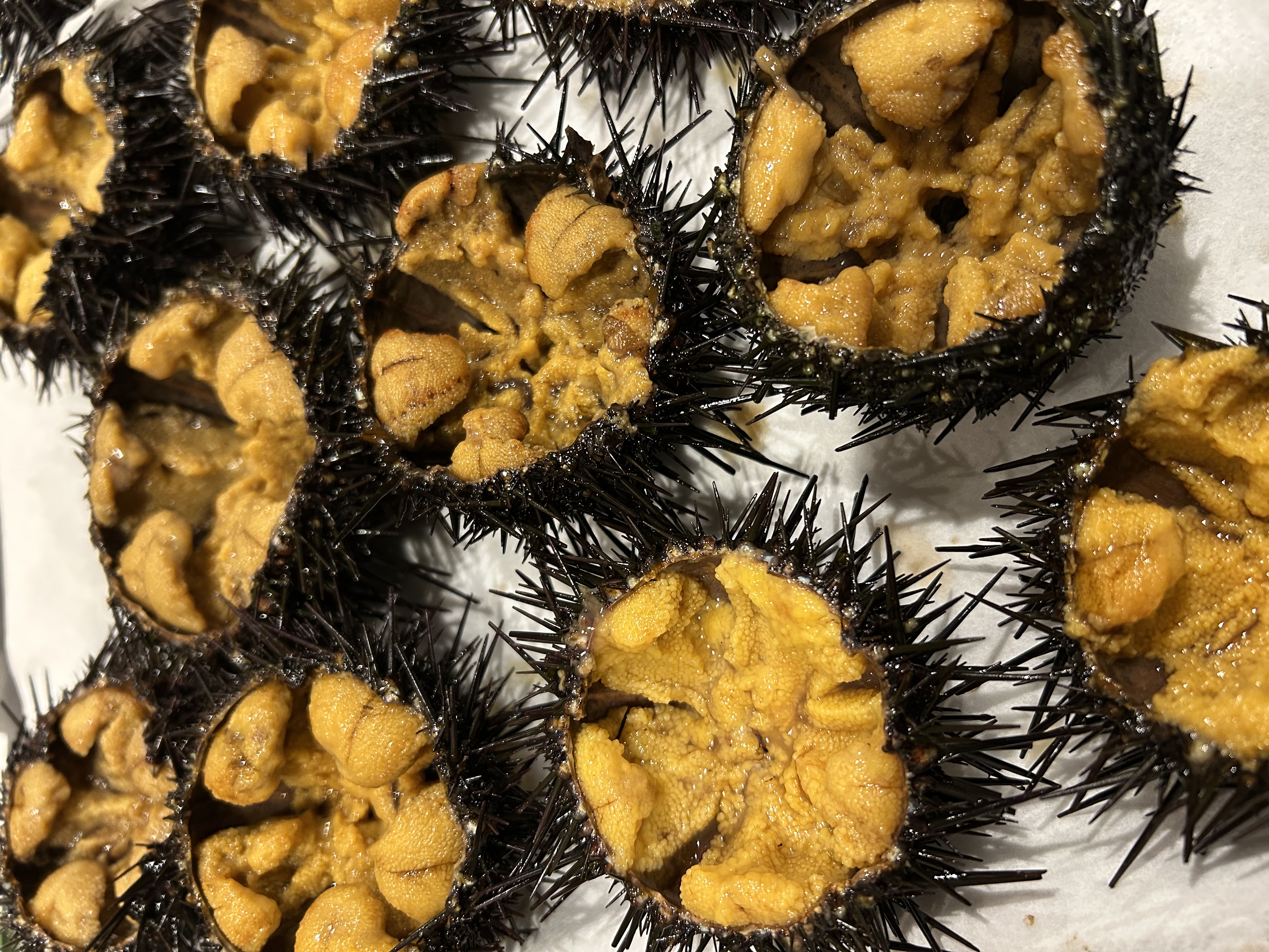 夏バテを吹き飛ばす！季節限定の和食ディナー